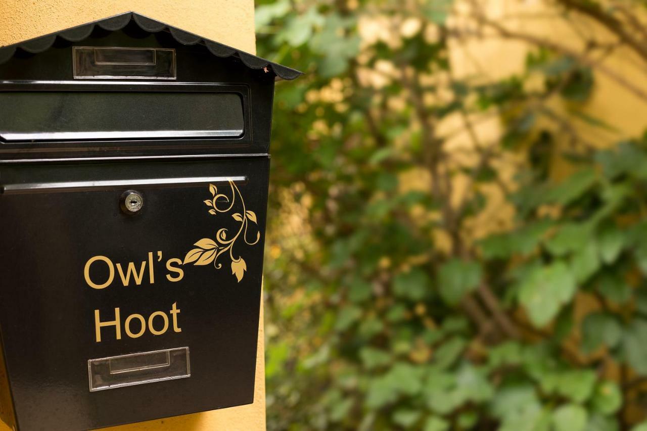 ThorndonOwl'S Hoot别墅 外观 照片